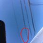 Photo of Ace Auto Body