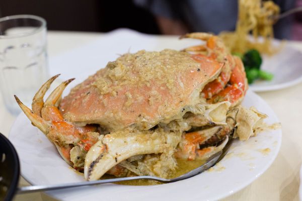 PPQ Dungeness Island - Millbrae by null