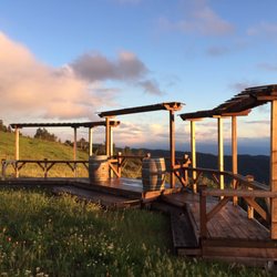 Lago Lomita Vineyards - Wedding arbor for the perfect ceremony and amazing views!