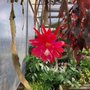 Natural Garden And Nursery