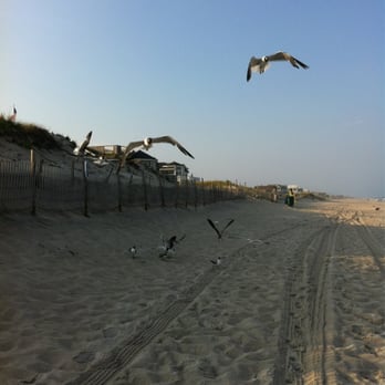 Long Beach Island - Seagulls!!! - Beaches Near Me Long Beach Island - Seagulls!!! - Beaches Near Me