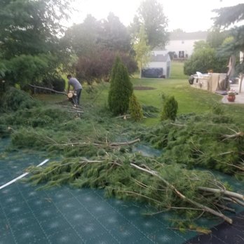 B G Tree Service - Bryan taking care of my storm damaged tree - Tree Services Near Me - Middleton, Wisconsin