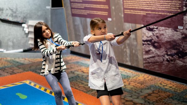Arizona Science Center by null