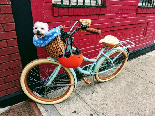 CC Cyclery by null