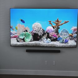 The TV Guy - Hisense 100" tv, Sonos Arc soundbar, Roku TV. No wires.