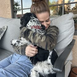 Give the Dog a Bone