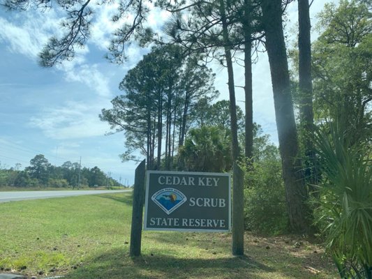 Cedar Key Scrub State Reserve by null
