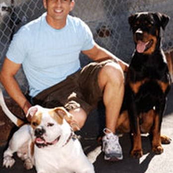 K9 Bar Academy - Pet Training Near Me - Studio City, California