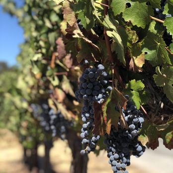 Clos LaChance Winery - Wineries Near Me - San Martin, California Clos LaChance Winery - Wineries Near Me - San Martin, California