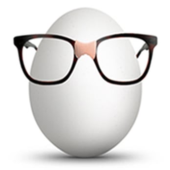 Egghead Computer Solutions - IT Services & Computer Repair Near Me - Allentown, Pennsylvania Egghead Computer Solutions - IT Services & Computer Repair Near Me - Allentown, Pennsylvania