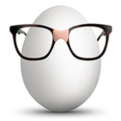 Egghead Computer Solutions
