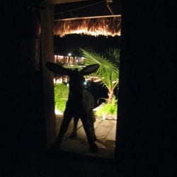 Coachella Valley Events Center - Too dark to see this donkey, but I leave it up to others to take day shots.