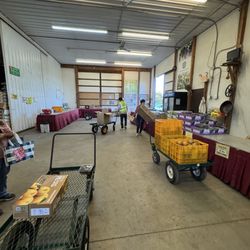 Evergreen Farm