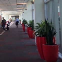 Photo of Four Seasons Total Landscaping - Philadelphia, PA, United States. Interior plant division.