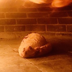 Mamma Mia Pizza