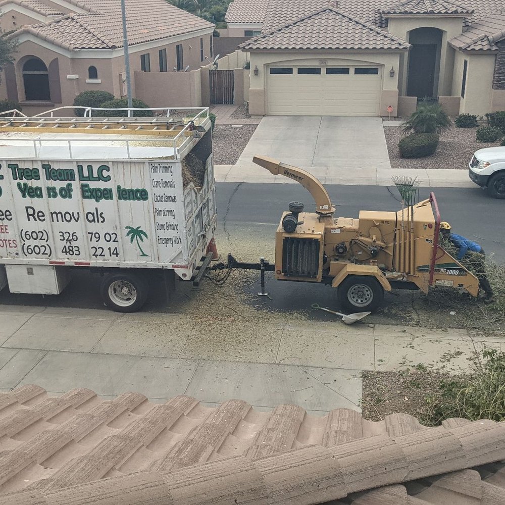 Arizona Tree Team | Phoenix Tree Removal | Trimming - Tree Services Near Me - Phoenix, Arizona