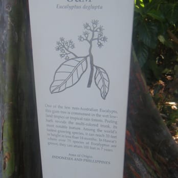 Honolulu Zoo - Zoos Near Me - Honolulu, Hawaii