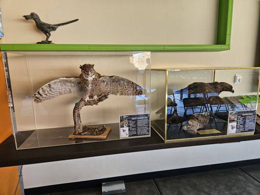 Red Rock Canyon Visitor Center by null