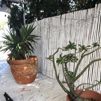 Babylon - Mediterranean Near Me - Miami Beach, Florida Babylon - Mediterranean Near Me - Miami Beach, Florida