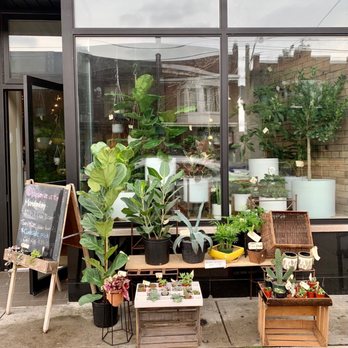Studio Mikafleur - Sale items and small plants - Florists Near Me - Toronto, Ontario
