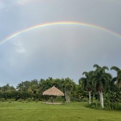 Natural Chai Farm & Gardens - Come relax under a Chiki Hut on our new connected property to the back of the farm. A place to unwind from a busy week.