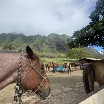 Kualoa Ranch - Tours Near Me - Kaneohe, Hawaii Kualoa Ranch - Tours Near Me - Kaneohe, Hawaii