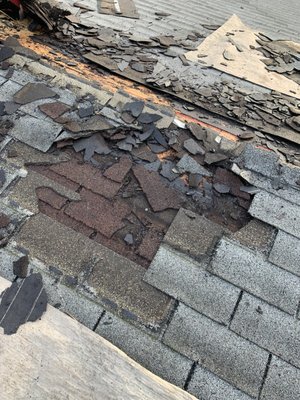 Next Level Roof Maintenance Logo