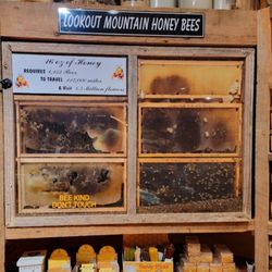 Bama Bucks - Bama Bucks Gift Shop Honey Bees