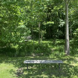 Waverly Park