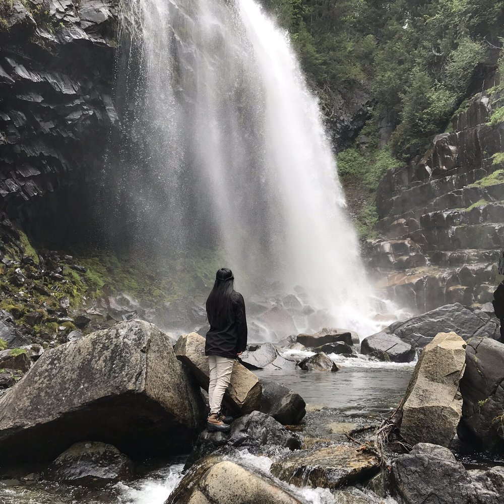 Narada Falls - Narada Falls - Landmarks & Historical Buildings Near Me - Packwood, Washington Narada Falls - Narada Falls - Landmarks & Historical Buildings Near Me - Packwood, Washington