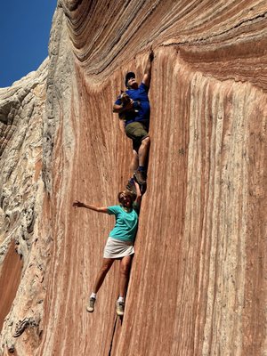 Dreamland Safari Tours by null