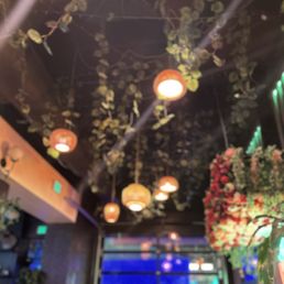 A glimpse of the space, very flowery and aesthetic