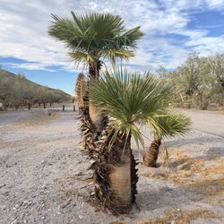 CSU Desert Studies Center