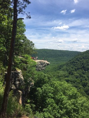 Hawksbill Crag/Whitaker Point by null