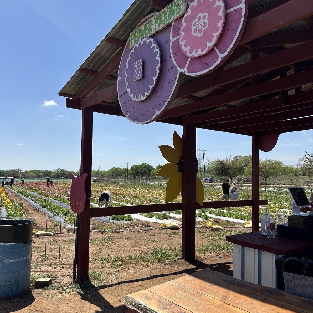Sweet Berry Farm - Attraction Farms Near Me - Marble Falls, Texas