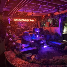 SHRUNKEN HEAD TIKI BAR - Updated July 2025 - 208 Photos