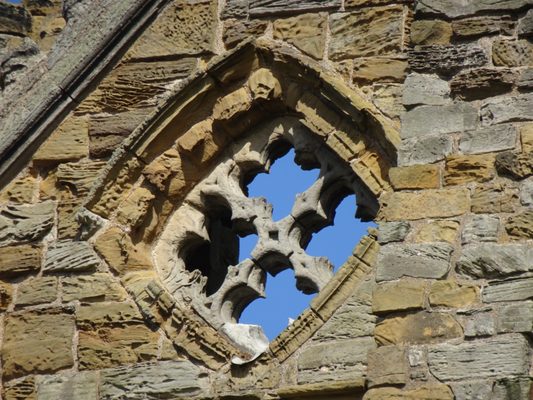 Whitby Abbey by null
