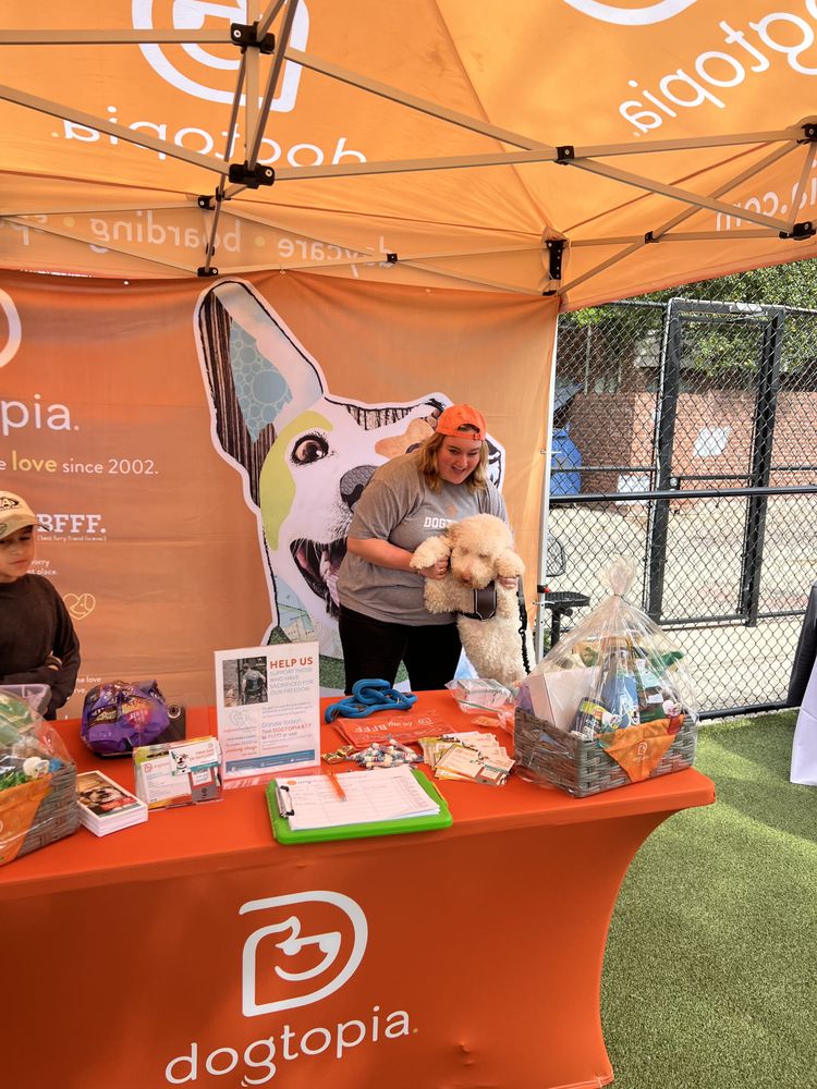 Dogtopia of the Shire - pet boarding facility in Richardson, TX