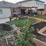 Photo of Palacios Landscape Design
