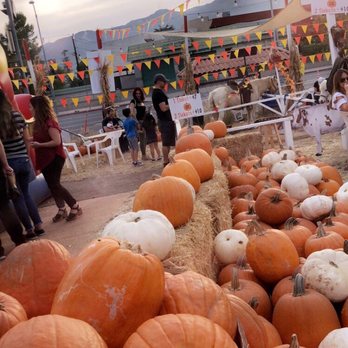 La Crescenta Pumpkin Patch - Pumpkin Patches Near Me - La Crescenta-Montrose, California