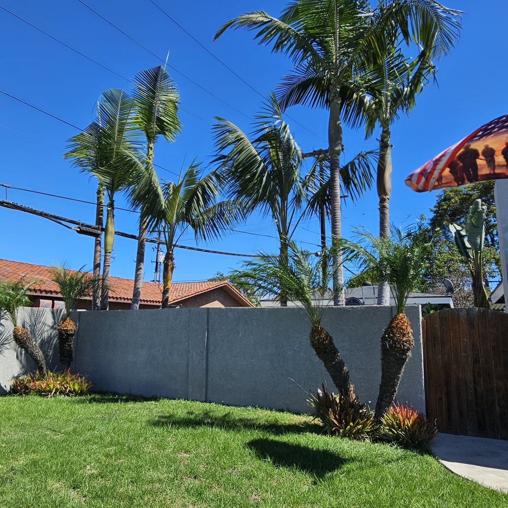 Top Unit Tree Service - AFTER - Tree Services Near Me - Norwalk, California Top Unit Tree Service - AFTER - Tree Services Near Me - Norwalk, California