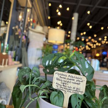 Salt - Shopping/Plants/Coffee/Eats - Breakfast & Brunch Near Me - Lincoln City, Oregon Salt - Shopping/Plants/Coffee/Eats - Breakfast & Brunch Near Me - Lincoln City, Oregon