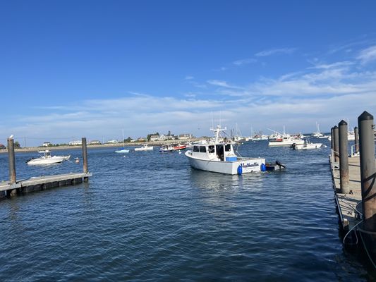 Rye Harbor Lobster Pound by null
