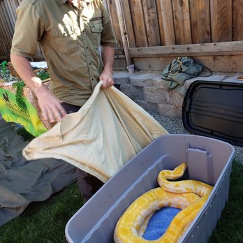 Jungle James Animal Adventures - Albino Burmese Python, the highlight of the party. - Party & Event Planning Near Me Jungle James Animal Adventures - Albino Burmese Python, the highlight of the party. - Party & Event Planning Near Me