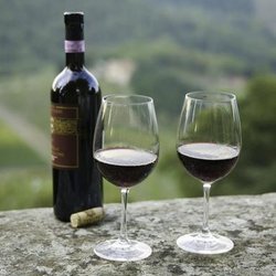 Oeno Winemaking - Untitled