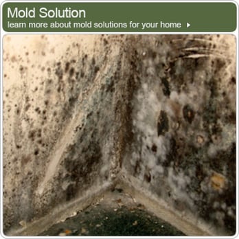 National Biosafe - Damage Restoration Near Me - Boca Raton, Florida National Biosafe - Damage Restoration Near Me - Boca Raton, Florida