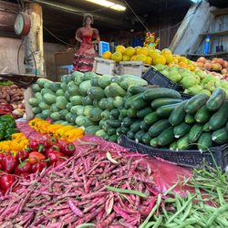 Mercado Cardonal