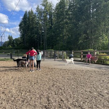 Beaver Lake Off Leash Park - Dog Parks Near Me - Sammamish, Washington Beaver Lake Off Leash Park - Dog Parks Near Me - Sammamish, Washington