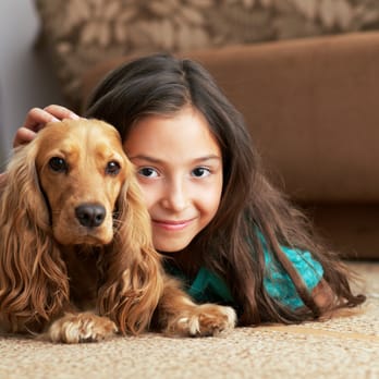 Green Zone Carpet Cleaning - Pet Stain Removal - Carpet Cleaning Near Me Green Zone Carpet Cleaning - Pet Stain Removal - Carpet Cleaning Near Me
