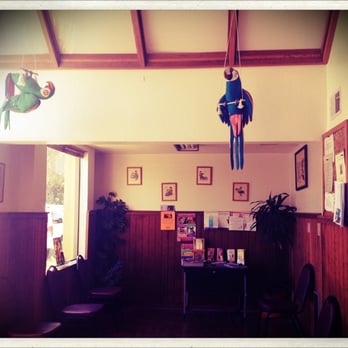 Restani-Fatima Veterinary - Waiting room with two stuffed parrots hanging from ceiling. Clients brought them back from El Salvador for Dr. Restani. - Veterinarians Near Me - Daly City, California